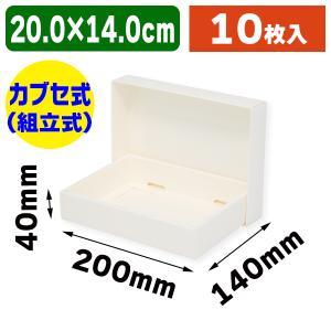 シモジマ （ギフト箱）DX白無地箱 G-4 10P ハンカチ用/10枚入（K05