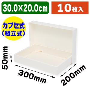 シモジマ （ギフトボックス）DX白無地箱 S-2 ハンカチ2枚用/300枚入