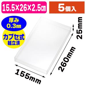 クリアケース）PETクリアケース 61×93×24（名刺サイズ）/10個入（K05