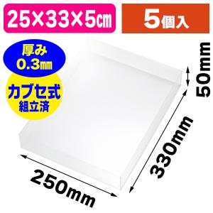 底面長方形）クリアケースPタイプ20-1/250枚入（OP20-1） : 箱の店