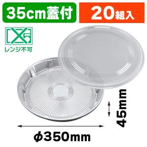 テイクアウト容器）Z-507 DX オードブル皿 本体/20枚入（K05