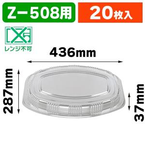テイクアウト容器）Z-507 DX オードブル皿 本体/20枚入（K05