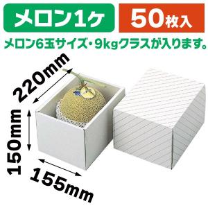 （メロンの箱）メロン深口/50枚入（L-158）