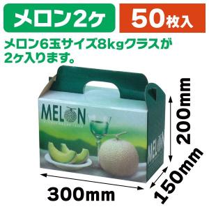 メロンの箱）K-111 ベルデメロン 大 2個入/80枚入（K08-470111） : 箱