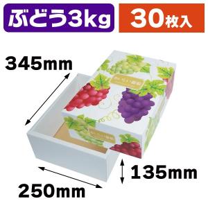 （宅送・ぶどう箱）デリシャス葡萄 3kg 深口/30枚入（L-2340）｜hakonomise