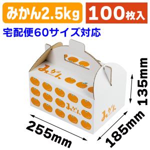 トリーバーチ 紙袋 TORY BURCH ショッピングバッグ 純正 ギフト