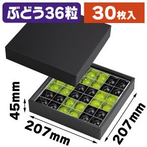 真言宗】 真言密教 引導作法の実際（DVD） : お経・御詠歌CD・DVDの