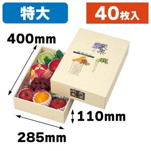 果物の箱）AF美果撰集（大）40枚入（L-326） : 箱の店 - 通販 - Yahoo
