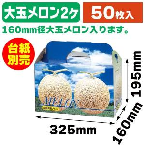 （メロンの箱）ピュアメロン2ヶ入/50枚入（L-340）｜hakonomise