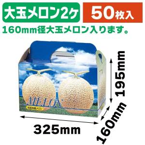 メロンの箱）ピュアメロン2ヶ入/50枚入（L-340） : 箱の店 - 通販