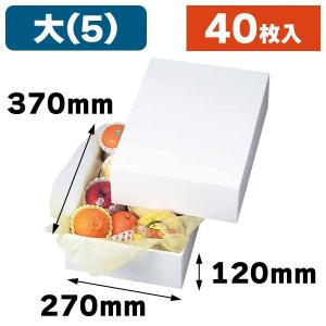 白無地箱）ホワイト 2/40枚入（LTO-2） : 箱の店 - 通販 - Yahoo