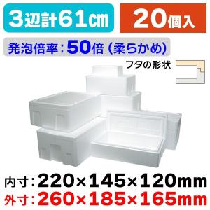 発泡スチロールの箱）発泡ボックスG-2/60個入（NK-308） : 箱の店