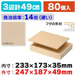 発泡スチロールの箱） 発泡スチロールギフト/60個入（SL-220） : 箱の