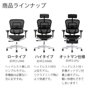 正規品 25年新型モデル エルゴヒューマン プ...の詳細画像1