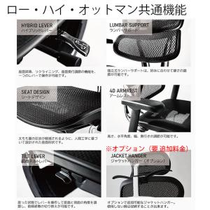 正規品 25年新型モデル エルゴヒューマン プ...の詳細画像2
