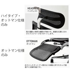 正規品 25年新型モデル エルゴヒューマン プ...の詳細画像4