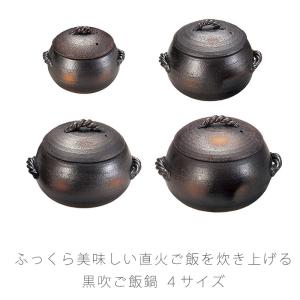 ふっくらご飯鍋 3合炊き 二重蓋 四日市ばんこ焼 萬古焼 電子レンジ 直