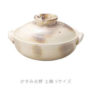 土鍋 国産 BLISSIO（ブリシオ） キャセロール 無水調理鍋 銀峯 21 ガス