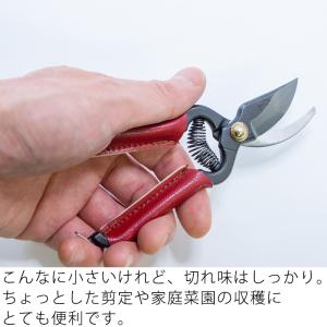 剪定ハサミ 剪定ばさみ 剪定鋏 摘果ばさみ ガ...の詳細画像1