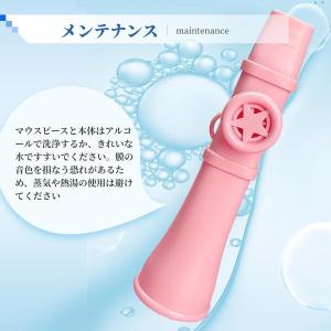 カズー 軽量 良い音 初心者 簡単に演奏できる...の詳細画像5
