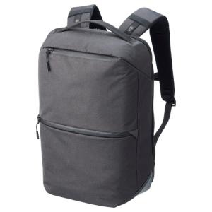 ハクバWEB限定モデル】ハクバ プラスシェル レジスト02 バック