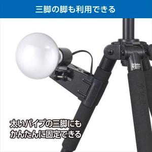 【アウトレット 訳あり特価】ハクバ サンクリッ...の詳細画像4