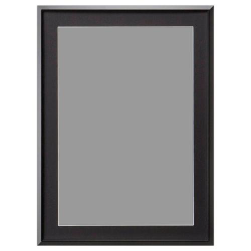 【アウトレット 訳あり特価】ハクバ アルミ額縁 AG-02 A3ノビサイズ ブラック FAG2-BK...