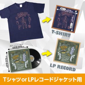 【アウトレット 訳あり特価】ハクバ Tシャツ・...の詳細画像1