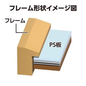 【アウトレット 訳あり特価】ハクバ Tシャツ・...の詳細画像4