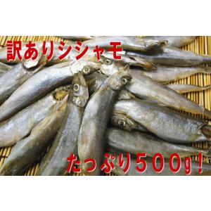 【訳あり子持ちシシャモ500g】　カラフトししゃも！