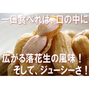 茹で落花生:ナカテユタカ300gー千葉の味 産...の詳細画像2