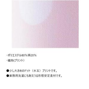 SRC361 ナガイレーベン 患者衣 マタニテ...の詳細画像3