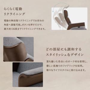 ヘルストロン Bx10000M メーカー保証 ...の詳細画像4
