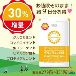約9日分お得  グルコサミン8910  351粒入り（約39日分）［栄養機能食品］