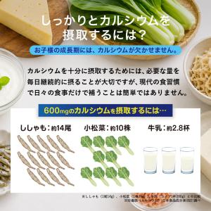 カルシウム飲料 カルロンライト 200ml×2...の詳細画像4