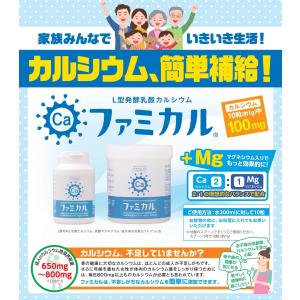 お食事にカルシウムをプラス ファミカル 大36...の詳細画像1