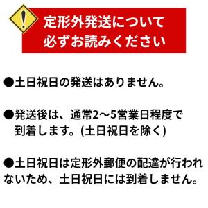 ウィンドストームホイッスル オレンジの詳細画像2