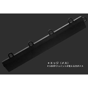 RaceDeck レースデッキ ガレージタイル...の詳細画像4