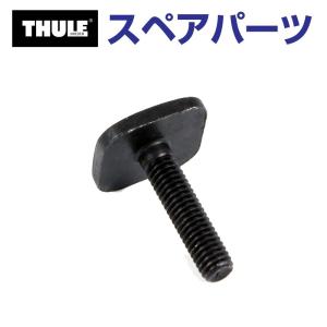 TH1500031465 THULE スペアパーツ Tトラックボルト 853-2089 25MM (スキーキャリア Thule Xtender 739) 送料無料｜hakuraishop