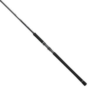 106H Shore テイルウォーク SSD jig