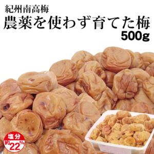 農薬を使わず育てた梅 500g 紀州南高梅 塩分約22% 簡易包装 梅と塩のみ 添加物不使用 キズ・...