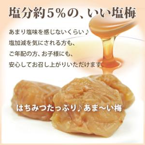 梅干し 訳あり はちみつ 梅 230g 塩分約...の詳細画像1