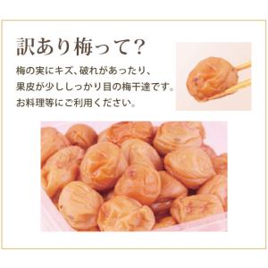 梅干し 訳あり はちみつ 梅 230g 塩分約...の詳細画像3