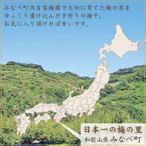 梅干し 訳あり はちみつ 梅 230g 塩分約...の詳細画像4