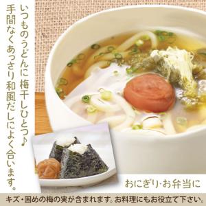 梅干し 訳あり はちみつ 梅 230g 塩分約...の詳細画像5