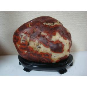 越前紋石20 : 白山紋石庵 - 通販 - Yahoo!ショッピング