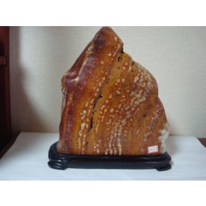 越前紋石28 : 白山紋石庵 - 通販 - Yahoo!ショッピング