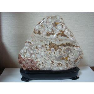 越前紋石20 : 白山紋石庵 - 通販 - Yahoo!ショッピング