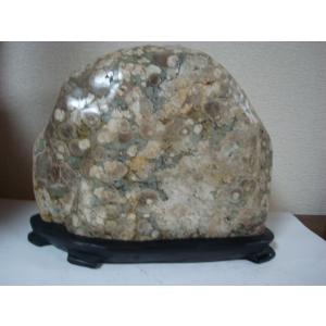 越前紋石28 : 白山紋石庵 - 通販 - Yahoo!ショッピング