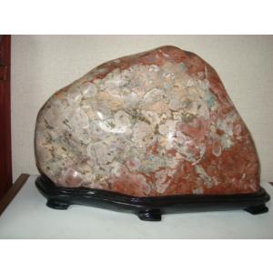 越前紋石20 : 白山紋石庵 - 通販 - Yahoo!ショッピング